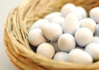 Gift im Frühstücks-Ei: Eier mit Dioxin belastet