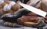 neue Sensorfolie zeigt verdorbenes Fleisch (Gammelfleisch) an