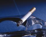 Tabakrauchen Krebs Hauptursache
